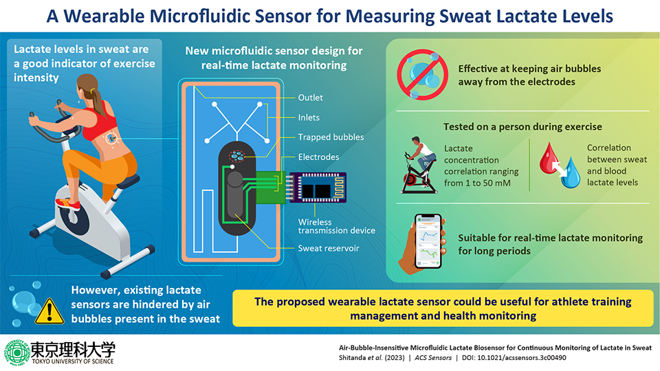 Wearable Sensor Measures Sweat Lactate Levels During Exercise
